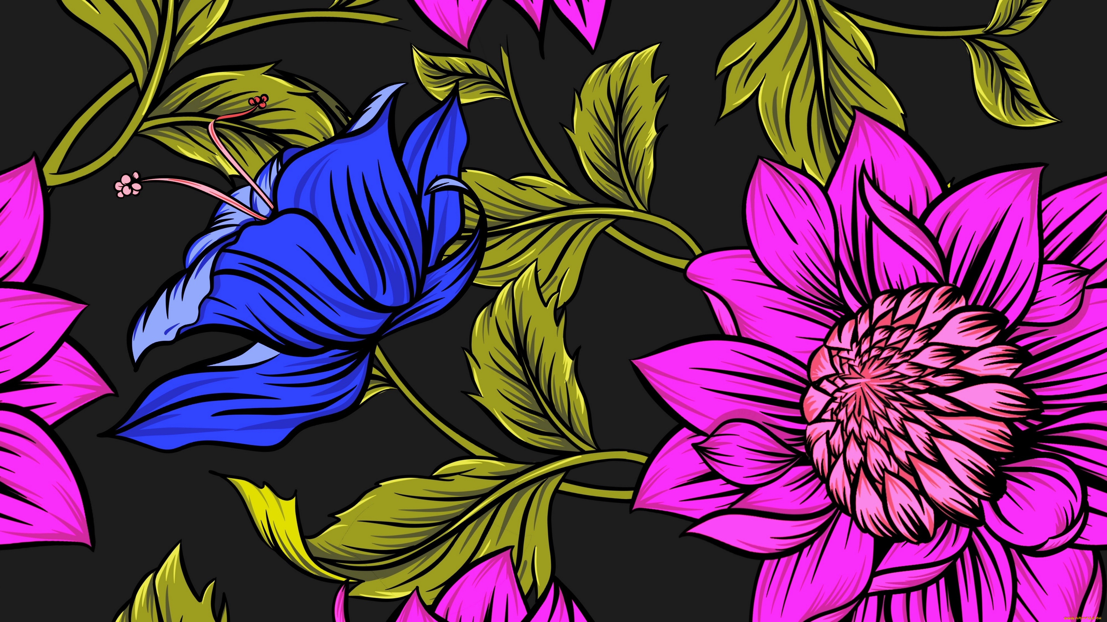  ,  , flowers, , 